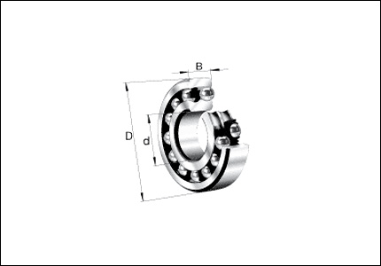 Adjustable radial double row ball bearing